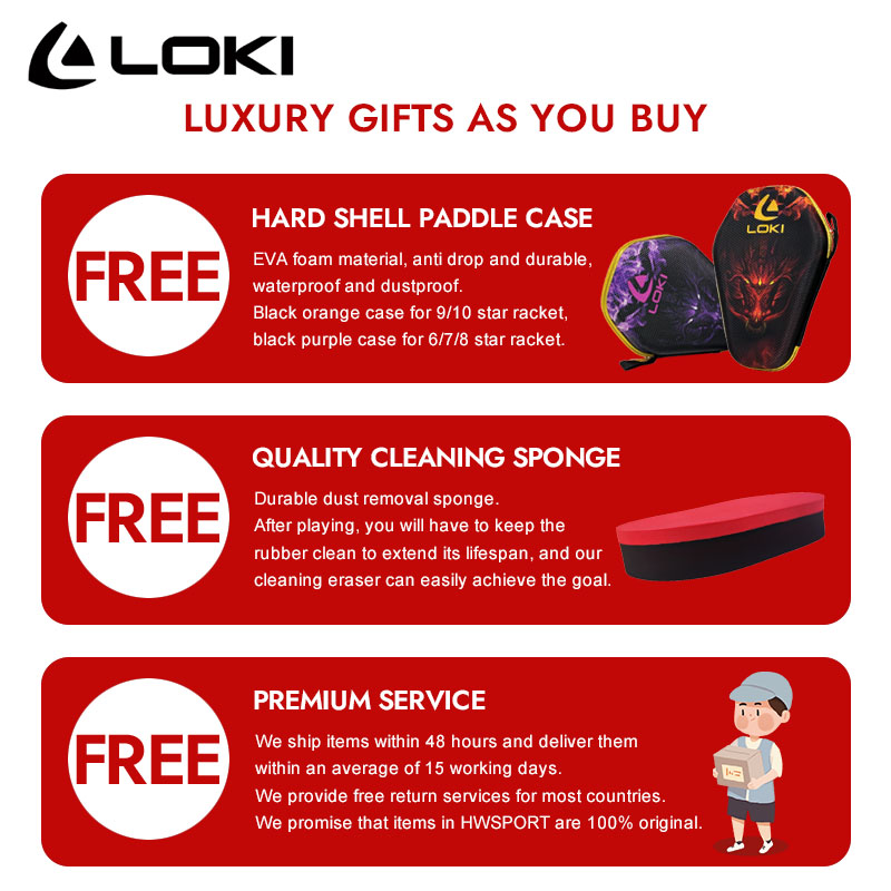 LOKI DRAGON 10 STAR Table Tenn - Badminton Racket Carbon review and price